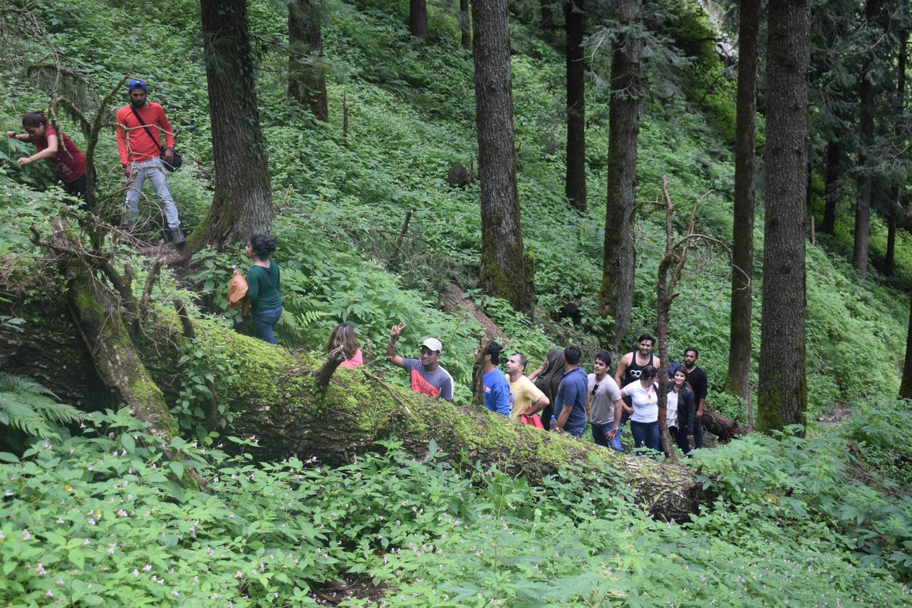 Ghughuti Resort Mussoorie Extérieur photo
